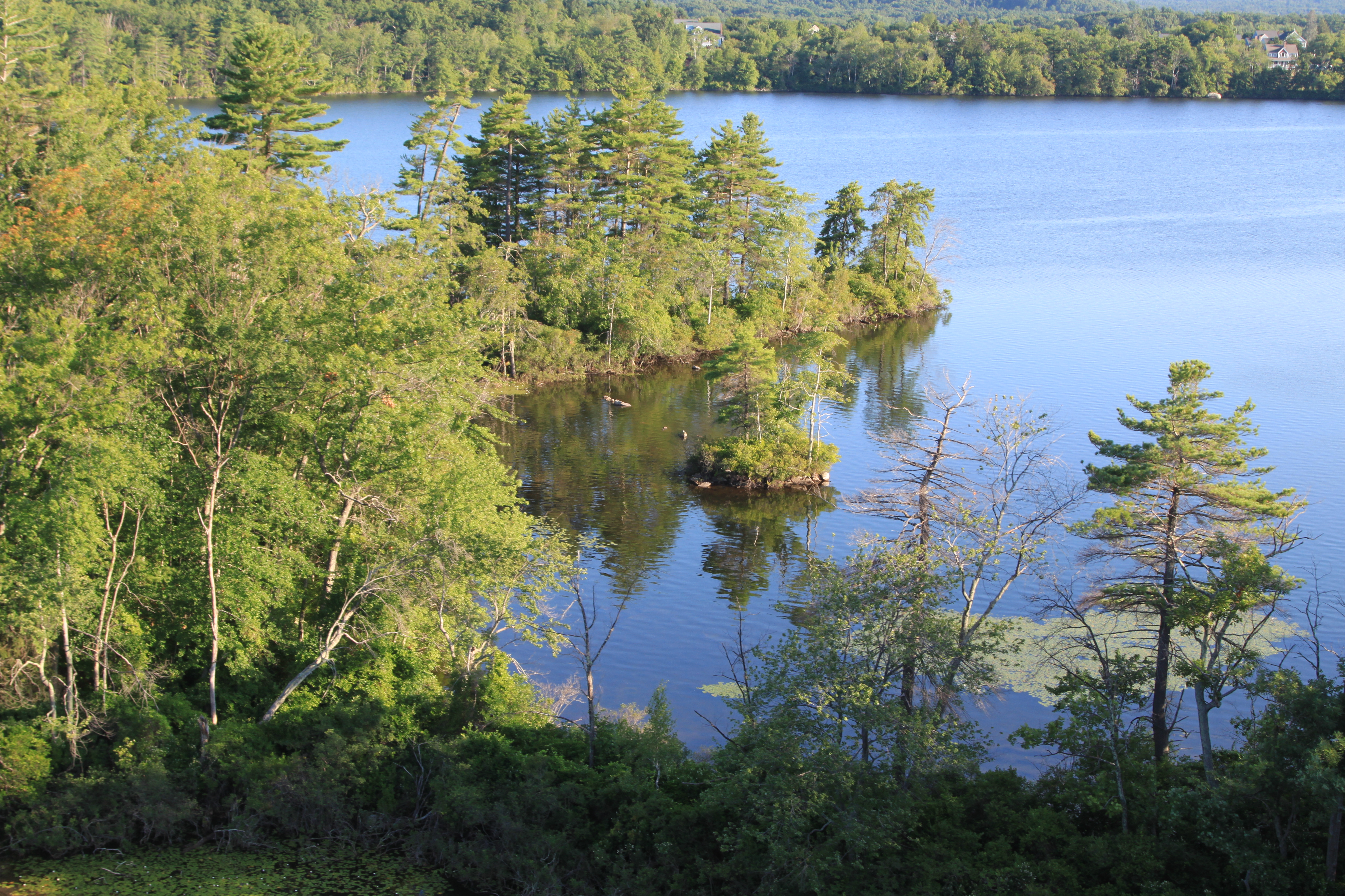 View from balloon flying over Fort Pond in Littleton, MA